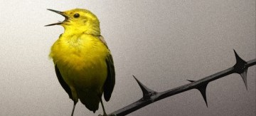 katherine-howe-conversion-360x480