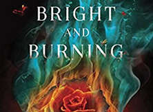 Screen Shot 2018-01-06 at 3.20.18 PM