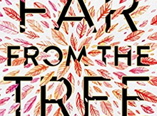 Screen Shot 2018-01-06 at 5.26.10 PM