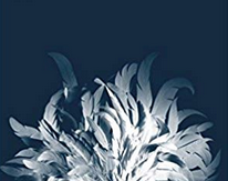 Screen Shot 2018-07-06 at 8.41.24 AM