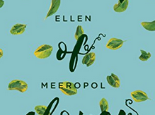 Screen Shot 2018-08-12 at 3.08.37 PM